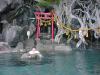 DSC00009.jpg 84777