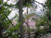 DSC00010.jpg 118950